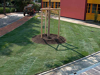 Fertigrasen/Rasensaat :: Gartengestaltung - Ing. Gerold Reischl